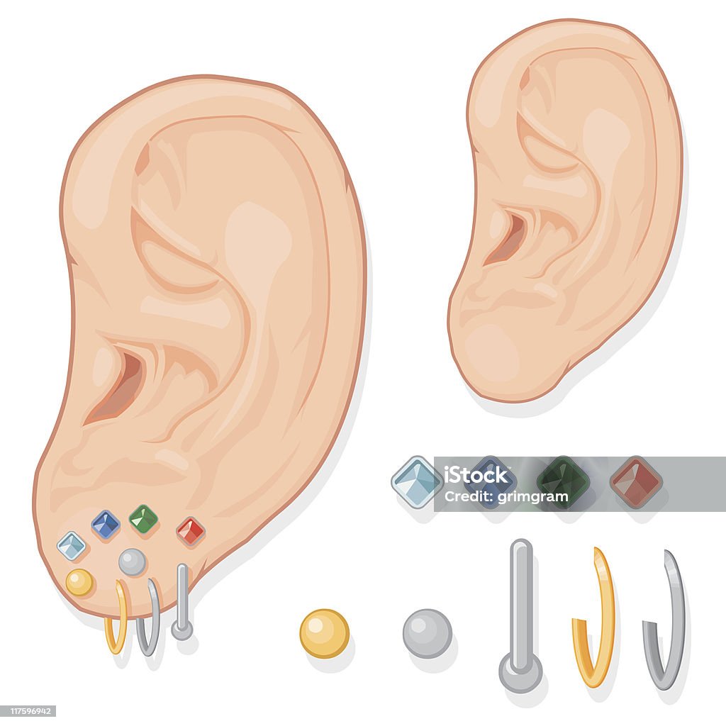Ear with Earrings A vector illustration of a human ear wearing various earrings. Earring stock vector