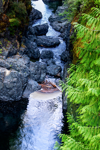 Englishman river is one of the many rivers on the Vancouver Island, Some 100 KM away from Nanaimo on the center of the island, the waterfalls, is hard to reach, but pristine