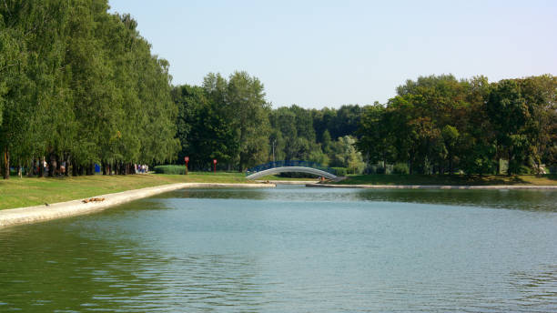 istock summer in city park 1175979196
