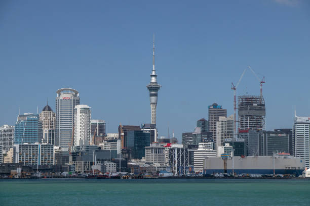 istock Auckland city scape 1175980695