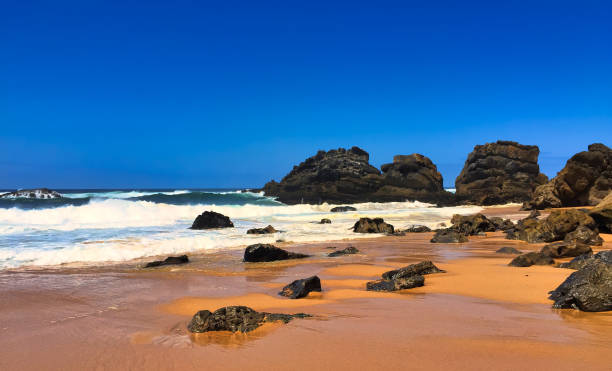istock Tender Portugal 1175981430