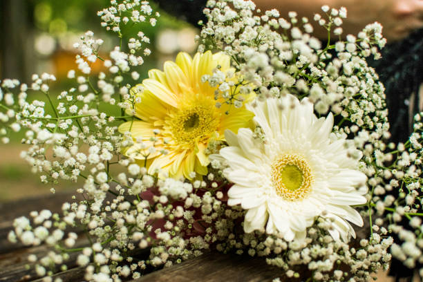 Brightly colored flowers stock photo