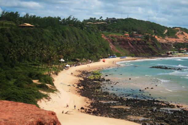 istock So much green and blue on this beach 1175989813