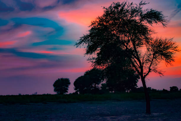 istock Beauty Of Landscapes 1175996427