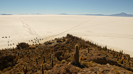 Isla Incahuasi within the worlds largest salt flats, Salar de Uyuni in Bolivia.