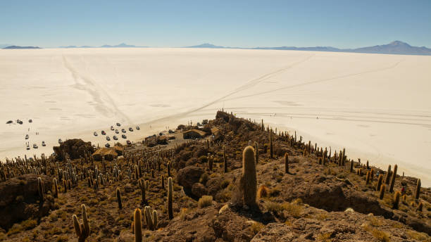 Incahuasi Island within the worlds largest salt flats, Salar de Uyuni in Bolivia. stock photo