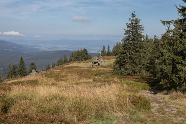 istock hiking on the mountain Osser in the bavarian mountains 1175999720