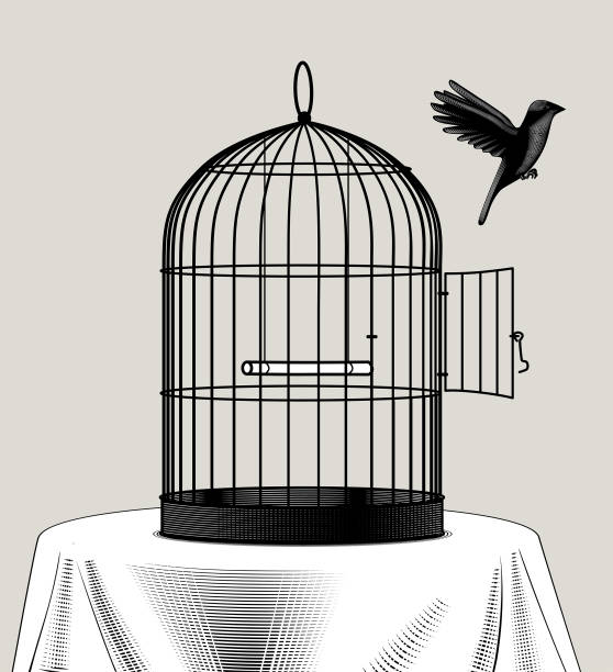 vogelkäfig und ein schwarzer vogel fliegen weg - birdcage stock-grafiken, -clipart, -cartoons und -symbole