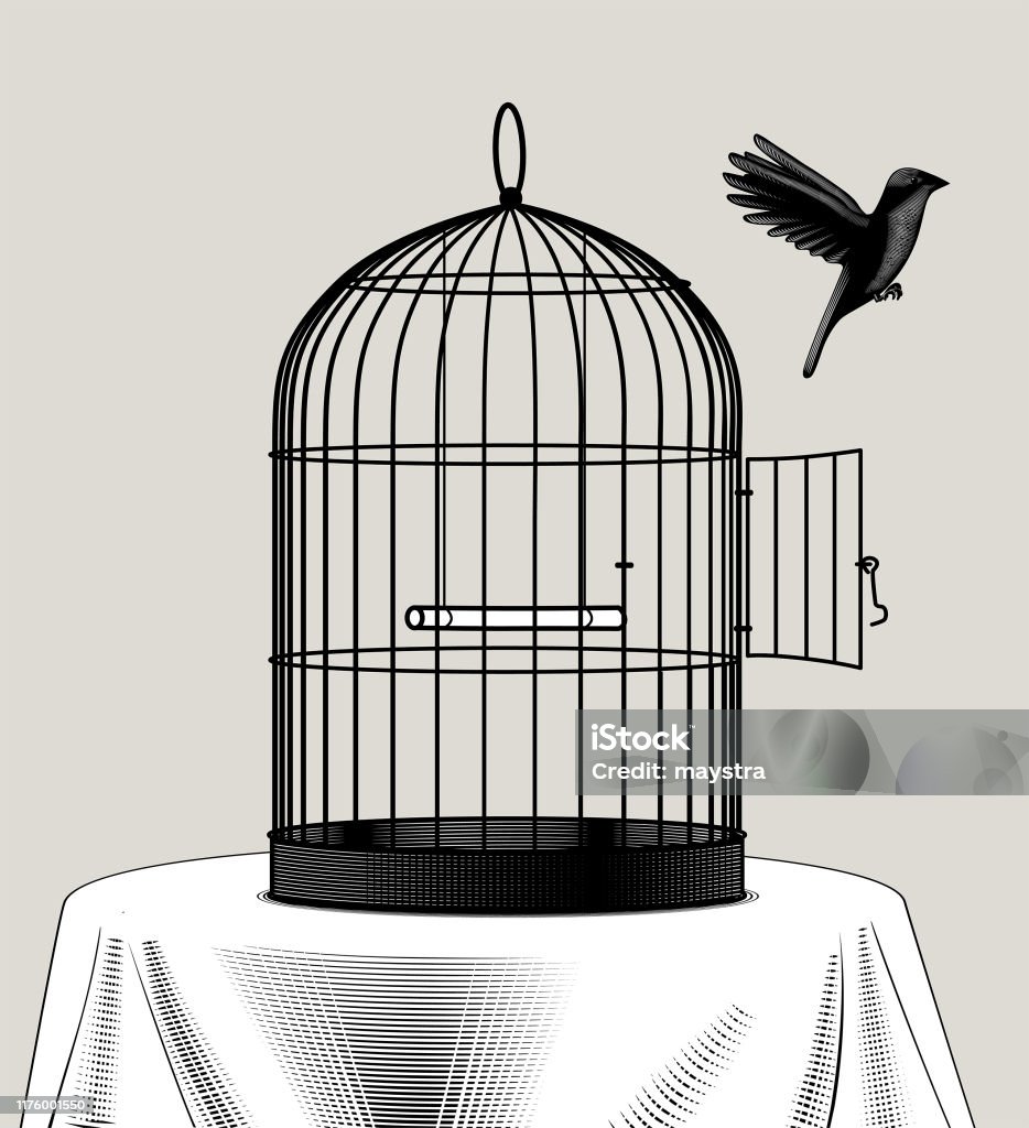 鳥籠和一隻黑鳥飛走了 - 免版稅鳥籠圖庫向量圖形