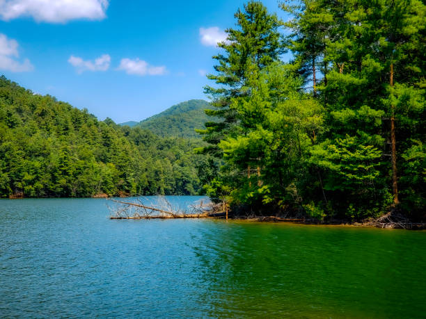 istock Mountain Lake in the Appalachian Mountains - Summer 1176001811