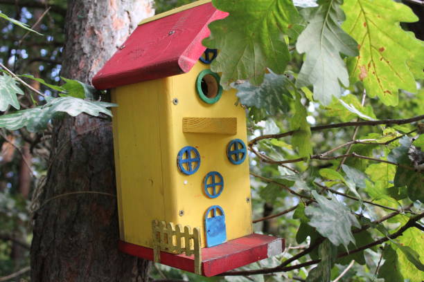 istock beautiful birdhouse for the birds 1176004119