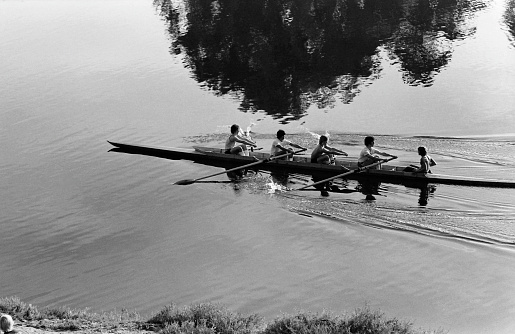 College Rowing Crew Practicing Near Santa Barbara 1976