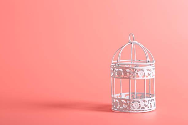 istock white decorative iron bird cage on a pink background 1176016958