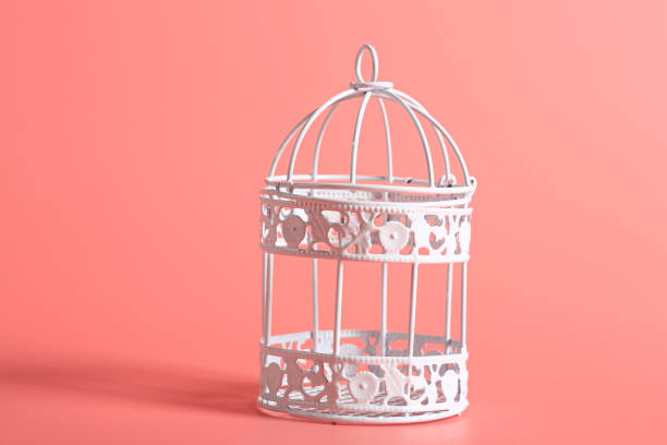 istock white decorative iron bird cage on a pink background 1176017239