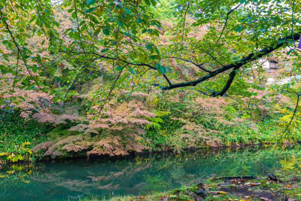 istock Park Autumn foliage scenery view in sunny day 1176023643
