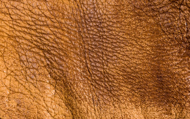 istock Old vintage genuine soft brown leather texture background, top layer with pores and scratches, macro, close-up 1176024867