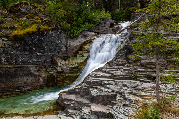 glacier-nationalpark - continental divide trail stock-fotos und bilder