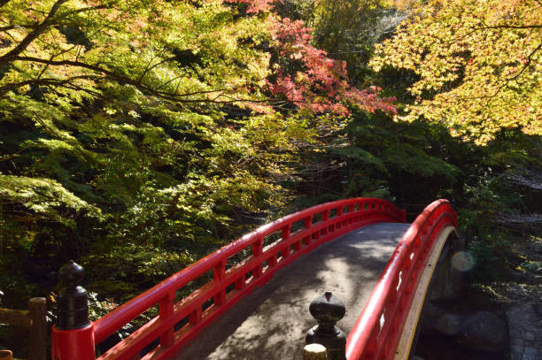 istock Beginning of autumn and red bridge 1176045026