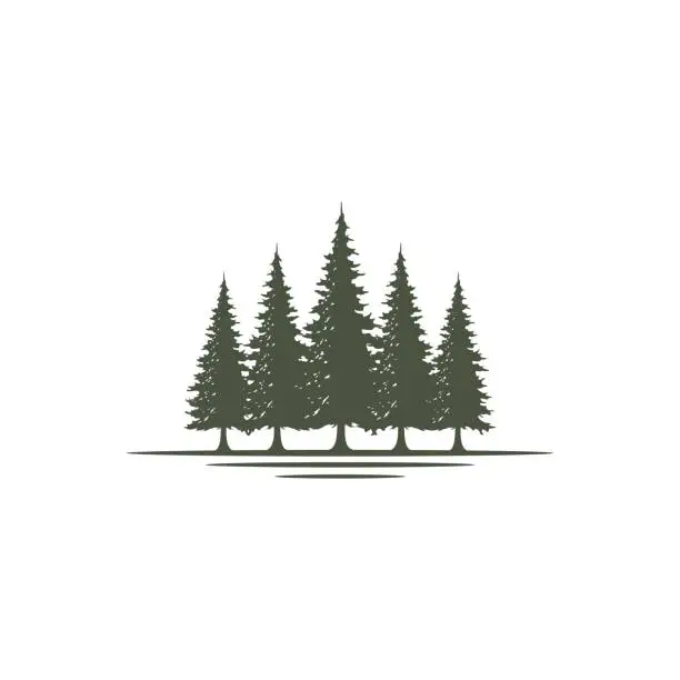 Vector illustration of Rustic Retro Vintage Evergreen, Pines, Spruce, Cedar trees design