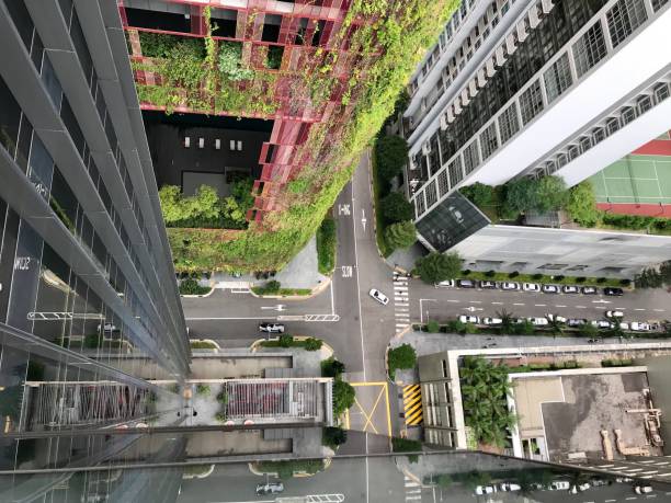 istock aerial view from downtown Singapore 1176053048