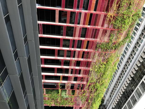 istock architectural detail from downtown Singapore 1176053064