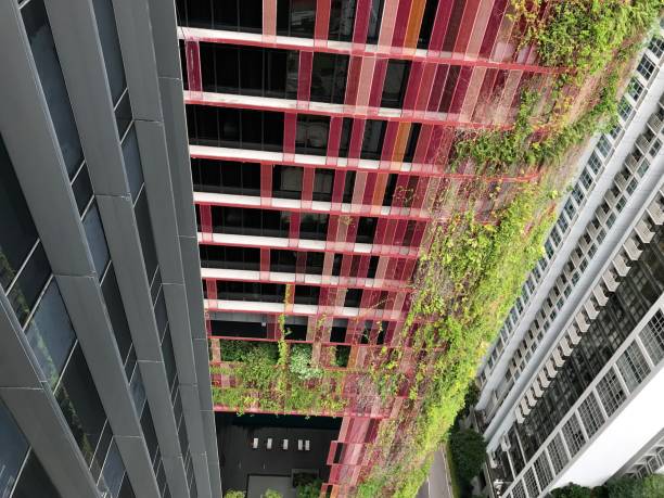 istock architectural detail from downtown Singapore 1176053067