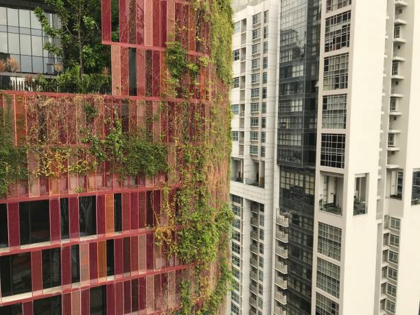 istock architectural detail from downtown Singapore 1176053081