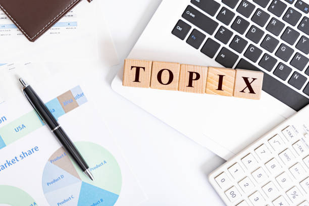 istock TOPIX word made with building blocks 1176055345
