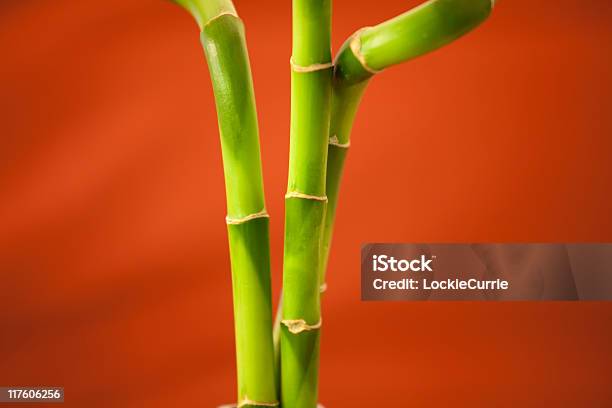 Бамбук — стоковые фотографии и другие картинки Абстрактный - Абстрактный, Азия, Бамбук