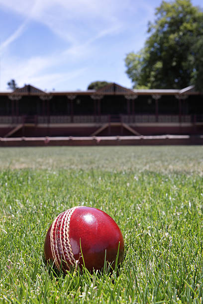 Pallina da Cricket - foto stock