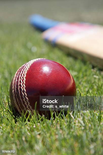 Attrezzature Cricket - Fotografie stock e altre immagini di Cricket - Cricket, Pallina da cricket, Mazza da cricket