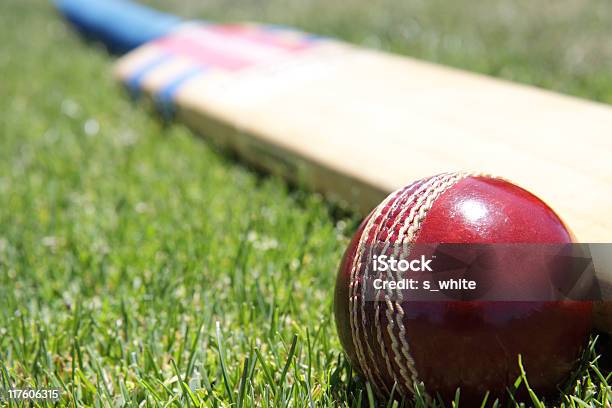 Photo libre de droit de Équipement De Cricket banque d'images et plus d'images libres de droit de Cricket - Cricket, Batte de cricket, Sport
