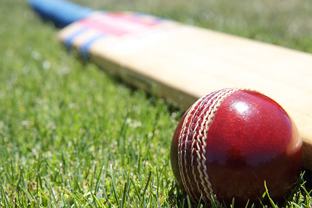 Red cricket ball and paddle laying in the grass New cricket ball and bat on green grass. test cricket stock pictures, royalty-free photos & images