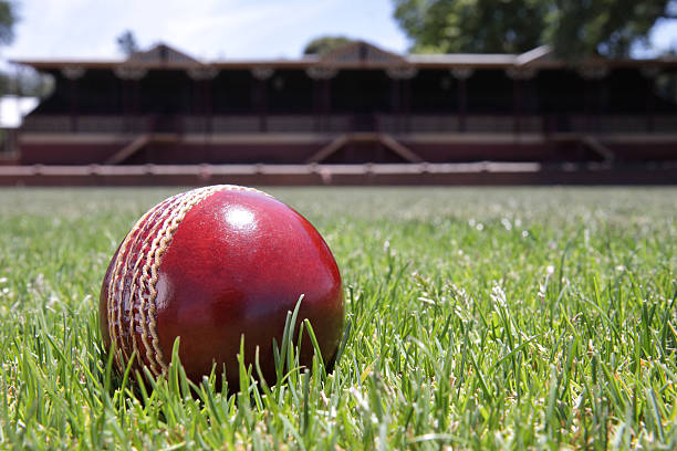Bola de Críquete - fotografia de stock