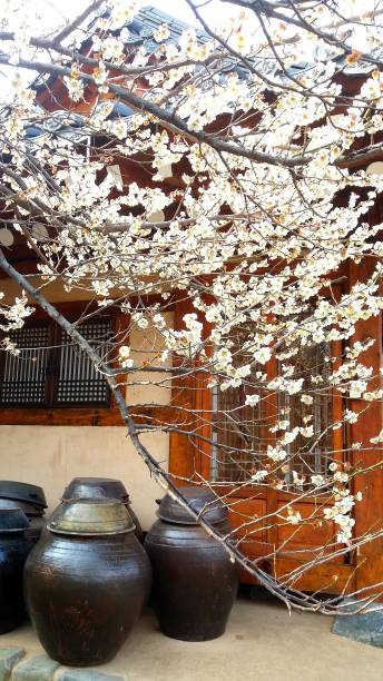 istock Gwangyang Maehwa Village 1176063416