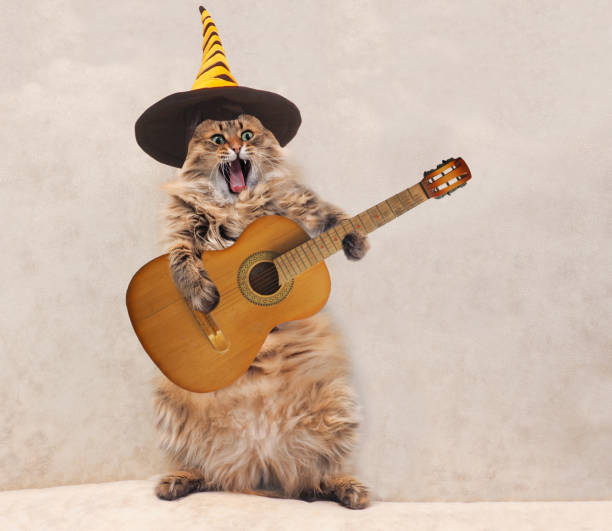 istock The big shaggy cat is very funny standing 1176069113