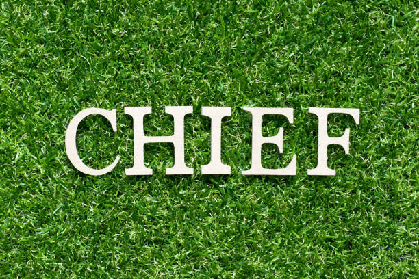 istock Wood alphabet letter in word chief on artificial green grass background 1176071475