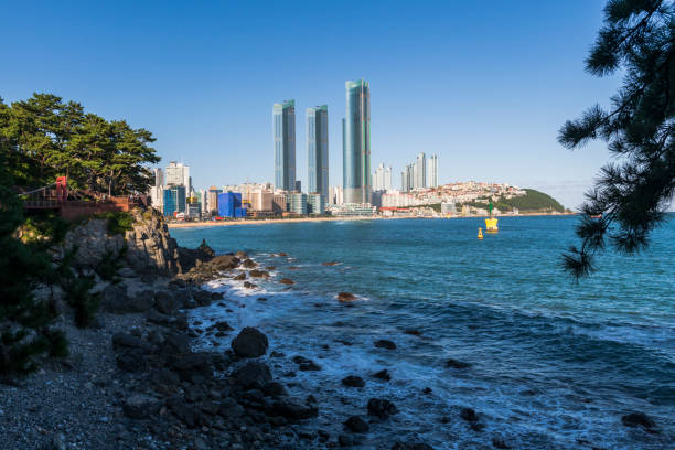 Haeundae Beach seen from Dongbaek Park in Busan, South Korea