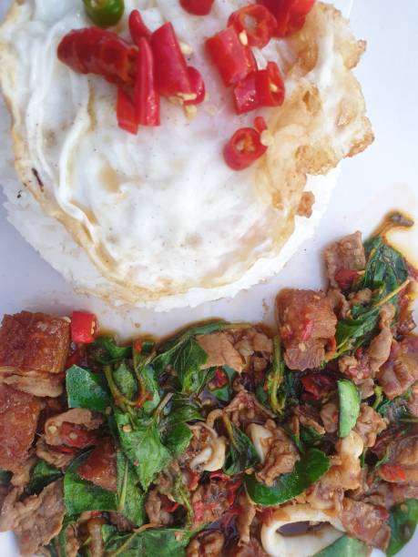 istock Rice topped with stir-fried liver, squid and basil 1176079344