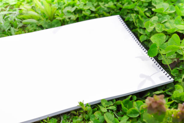 istock Blank sketchbook on clover field. 1176080673