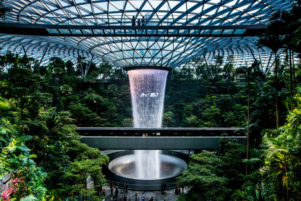 singapore city, singapura-10 setembro 2019: o vortex da chuva do hsbc é a cachoeira interna a maior no mundo situada dentro do aeroporto de jewal changi em singapore - traval - fotografias e filmes do acervo