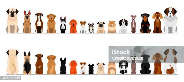 Small And Large Dogs Border Border Set Full Length Front And Back Stock Illustration - Download Image Now