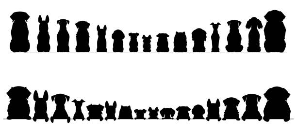 ilustrações de stock, clip art, desenhos animados e ícones de small and large dogs silhouette border set, half and full length - dog group of animals variation in a row