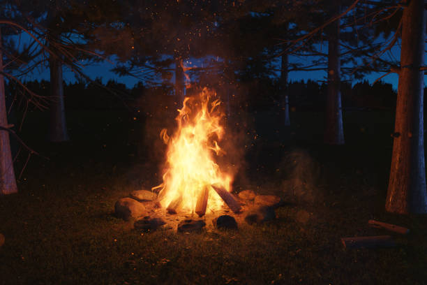 istock 3d rendering of big bonfire with sparks at forest in the night 1176089402