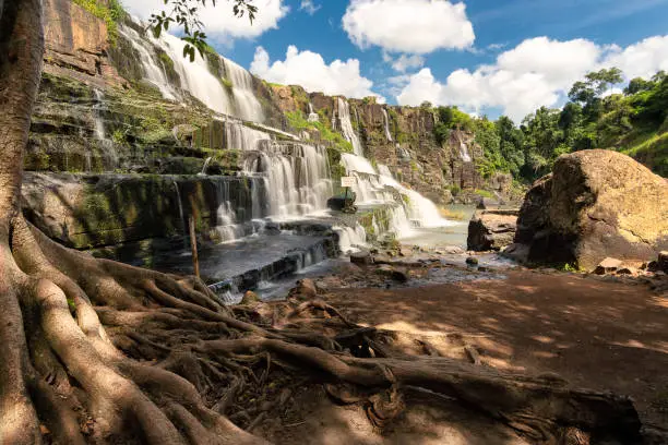 Photo of Pongour Waterfall. Amazing natural landmark. Big tree roots with impressive landscape