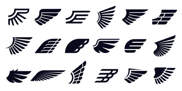 Silhouette wing icons. Bird wings, fast eagle emblem and decorative ornament angel wing stencil symbols vector bundle Silhouette wing icons. Bird wings, fast eagle emblem and decorative ornament angel wing stencil. Black tattoo sketch, airport logo or victory insignia. Isolated symbols vector bundle animal wing stock illustrations
