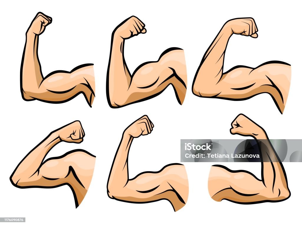 Cartoon Hand Muscle Strong Arm Boxer Arms Muscles And Strength Hands Hard  Gym Vector Illustration Set Stock Illustration - Download Image Now - iStock