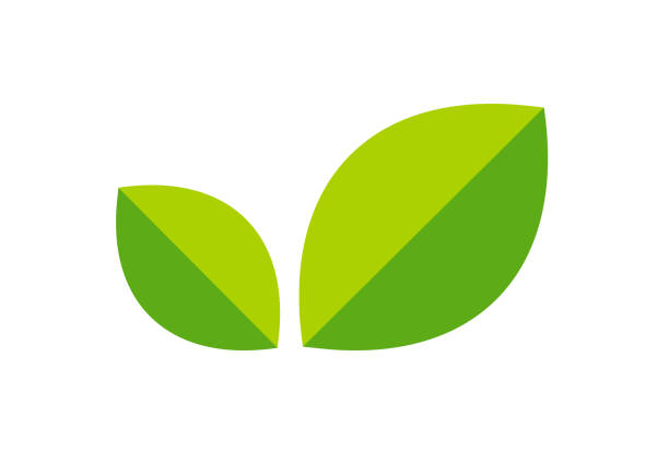 葉のロゴ、ミニマリストスタイルの緑の葉のアイコン。 - 葉点のイラスト素材／クリップアート素材／マンガ素材／アイコン素材