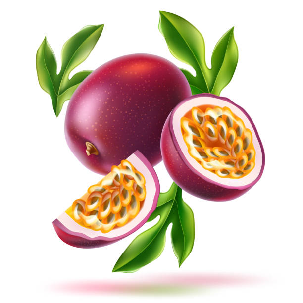 ilustraciones, imágenes clip art, dibujos animados e iconos de stock de vector realista de fruta de la pasión con hoja verde semilla - parchita