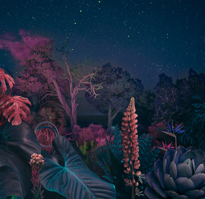 Bosque nocturno surrealista photo
